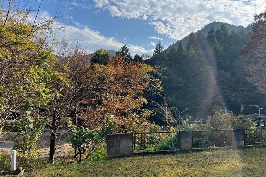 Surroundings of the sake brewery - garden