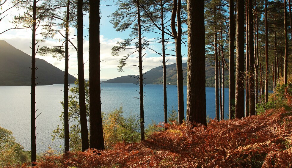 Loch Lomond & Whisky Tour from Glasgow