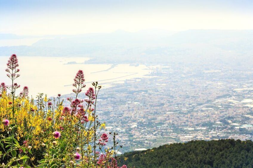 Mount Vesuvius Crater visit from Naples