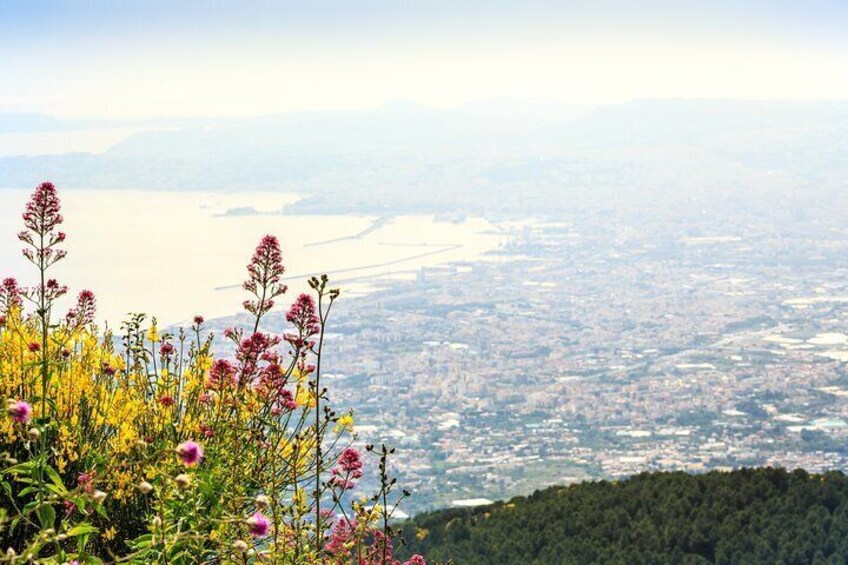 Mount Vesuvius Crater visit from Naples