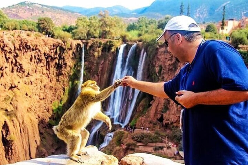 Ouzoud Waterfalls Guided Hike and Boat Trip 