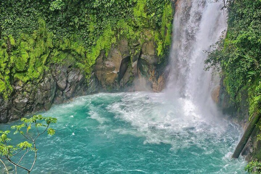 Rio Celeste guided hike - Tenorio Volcano - Full tour