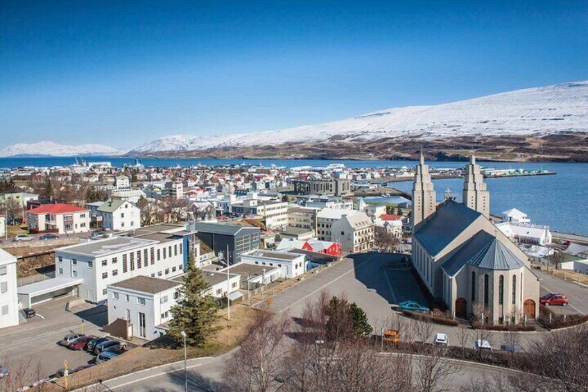 Goðafoss Waterfall from Akureyri Port