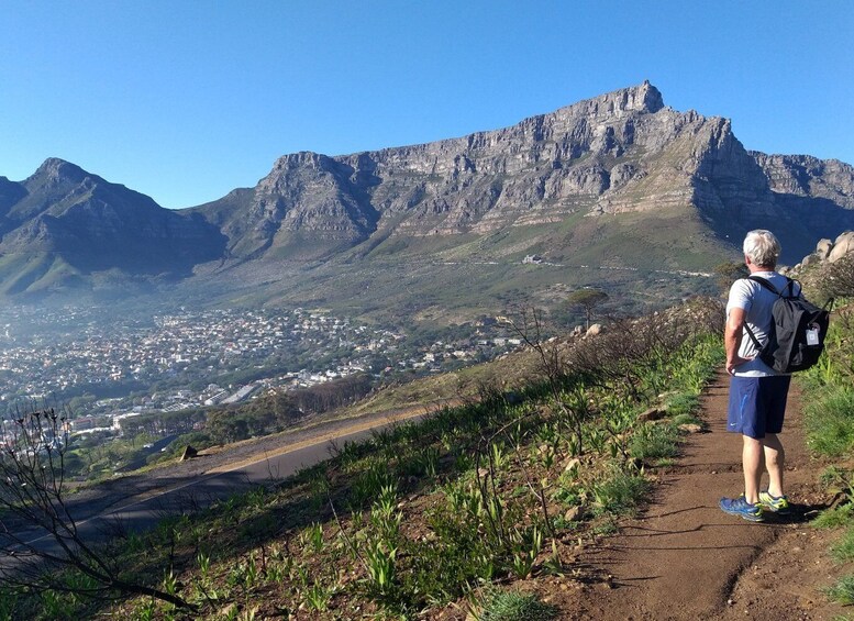 Picture 7 for Activity Cape Town: Lion's Head Sunrise Hike