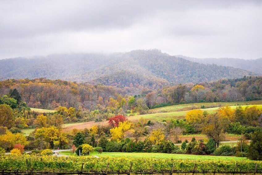 Full-Day Private Virginia Wine Tour Experience from Washington 