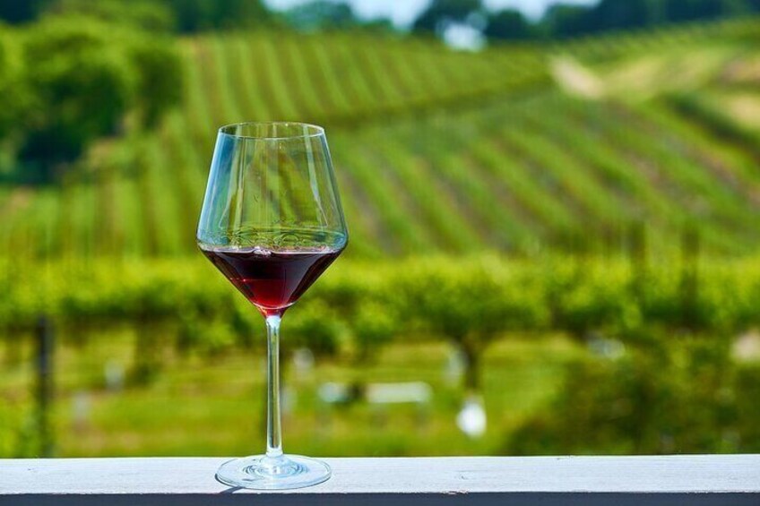 Full-Day Private Virginia Wine Tour Experience from Washington 