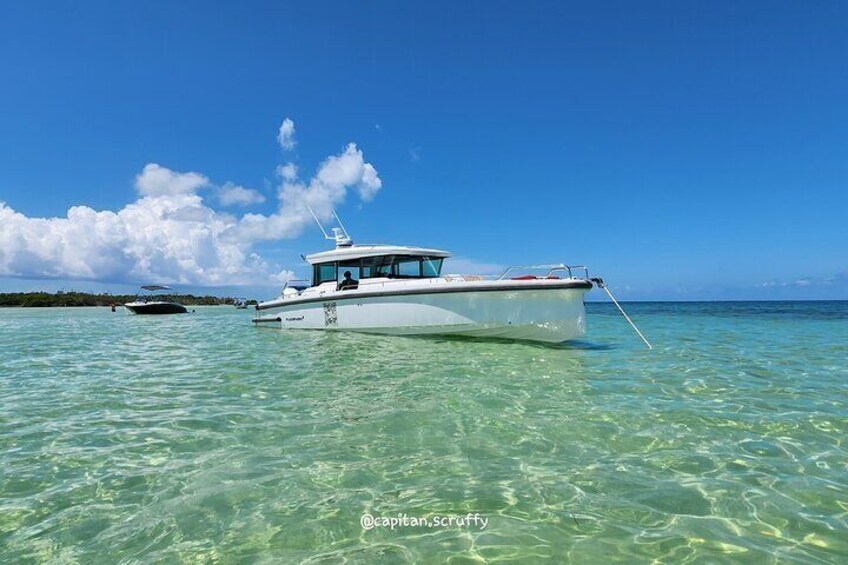 Half Day Luxury Boat Tour in Key West with Snorkeling
