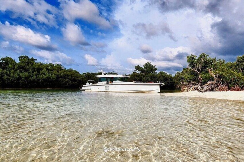 Half Day Luxury Boat Tour in Key West with Snorkeling 