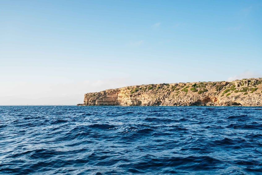Picture 9 for Activity Palma Bay: 1-Hour Speedboat Adventure