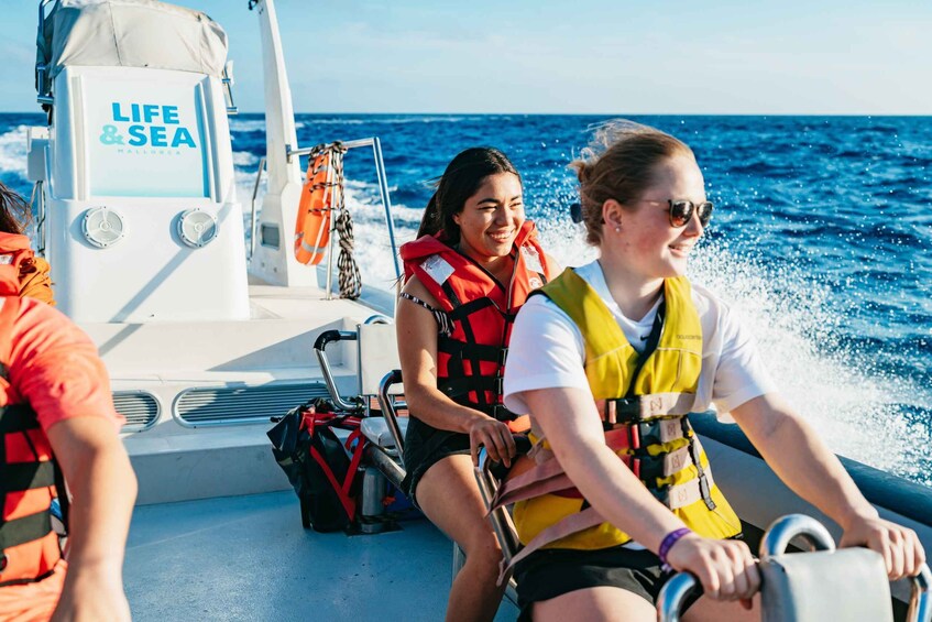 Picture 1 for Activity Palma Bay: 1-Hour Speedboat Adventure