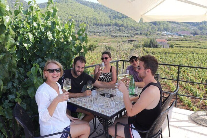 Private Korcula Eco Tour with Guide