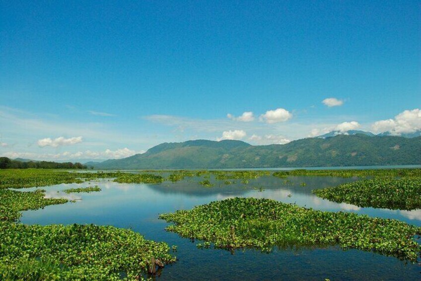 Full Day Private Tour of Yojoa Lake & Pulhapanzak Waterfall