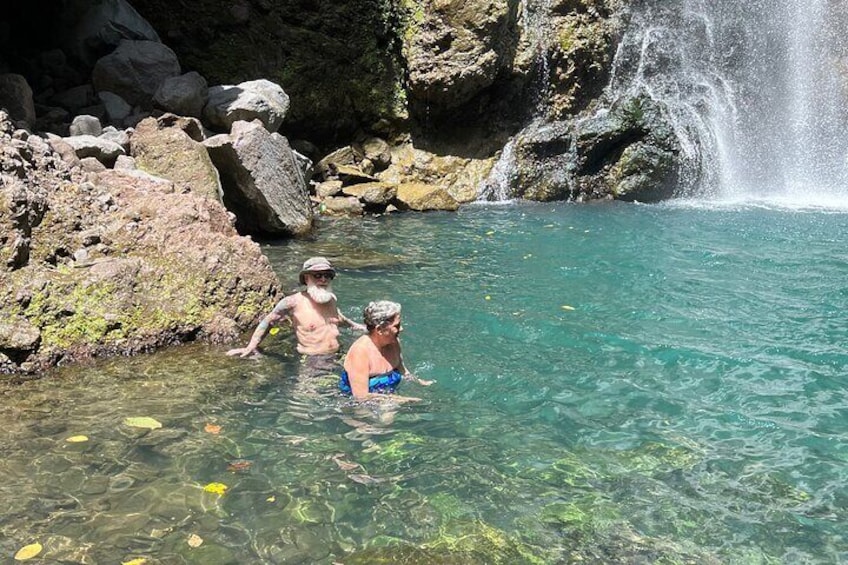 Shared Guided Swimming Adventure in Falls of Baleine 