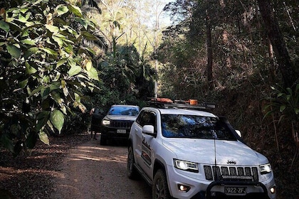 4x4 Guided Day Trip In D'Aguilar National Park