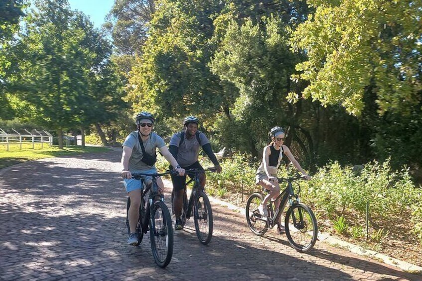 Franschhoek Shared E-Bike and Wine Tour