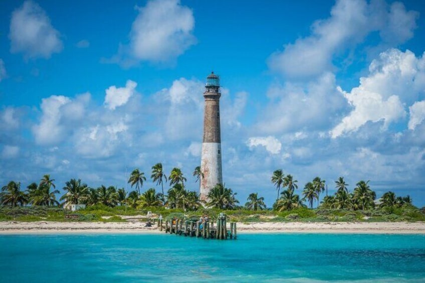 Half Day Private Tour to Islamorada Alligator Reef and Sandbar