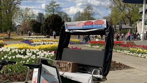 Cologne : Visite guidée en cyclo-pousse avec déjeuner pique-nique, 2 pers.