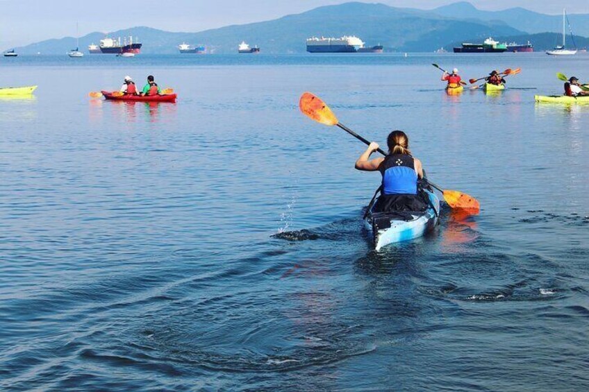3 Hour Kayak in Vancouver with Coffee in the Beach