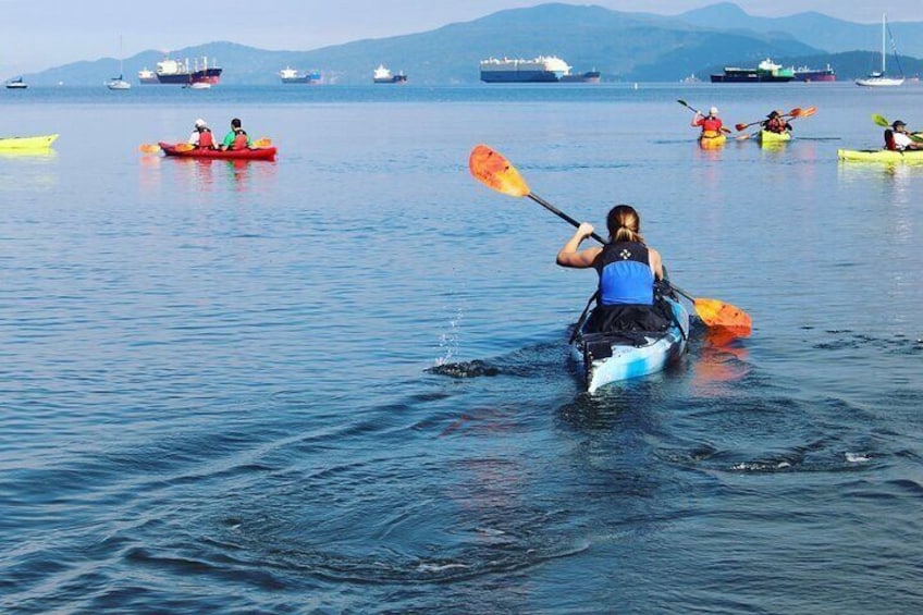 3 Hour Kayak in Vancouver with Coffee in the Beach