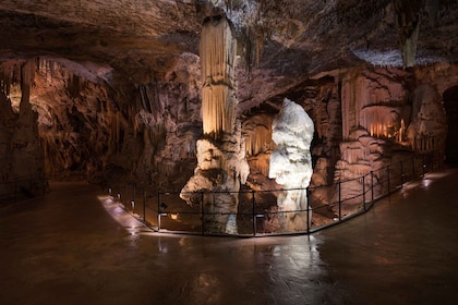 Desde Koper: tour de 5 horas a la cueva de Postojna y al castillo de Predja...