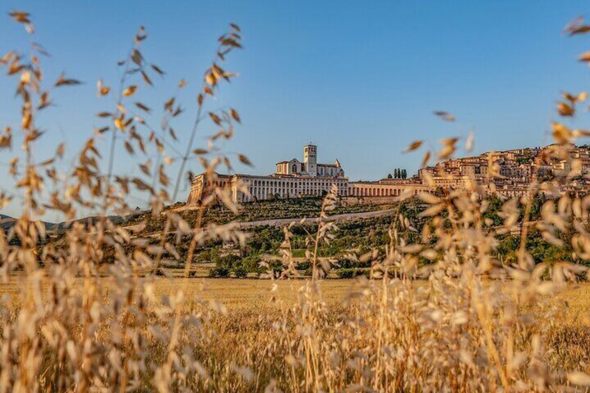 Private Tour in Basilica of St. Francis of Assisi