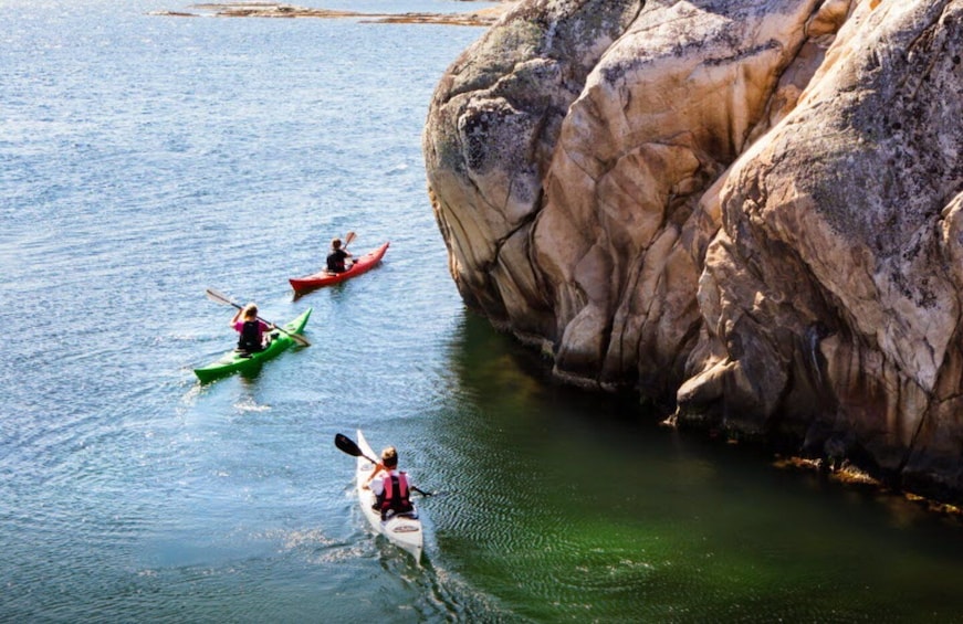 Picture 4 for Activity Stockholm: Full-Day Archipelago Kayaking Adventure