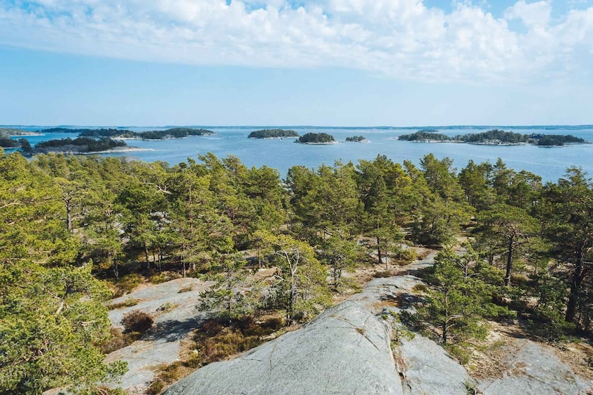 Picture 12 for Activity Stockholm: Full-Day Archipelago Kayaking Adventure