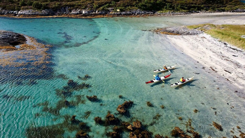 Picture 1 for Activity Stockholm: Full-Day Archipelago Kayaking Adventure