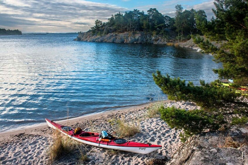 Picture 9 for Activity Stockholm: Full-Day Archipelago Kayaking Adventure