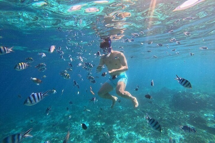 Desde Cebú: recorrido por 3 islas con almuerzo de barbacoa