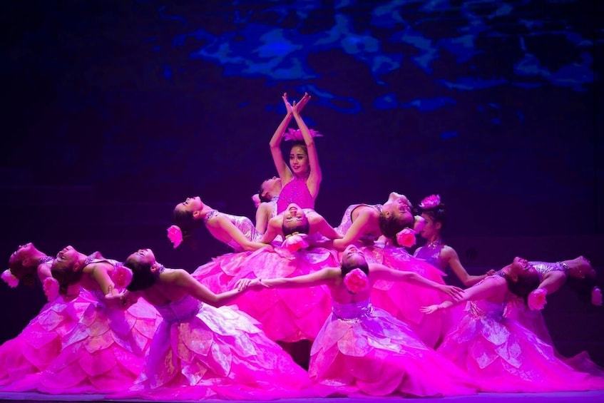 Vietnam: Charming Danang Show Ticket in Da Nang