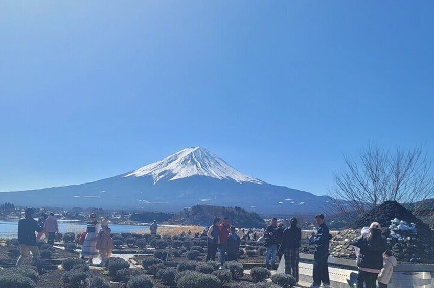 1 Day Private Mount Fuji Tour