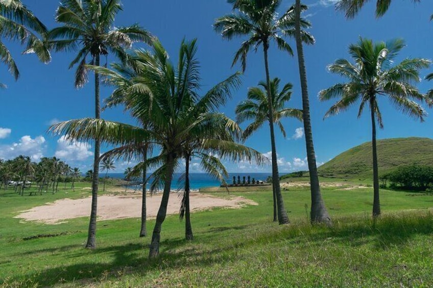 2 Days Highlights Tour in Easter Island Moai and Nature