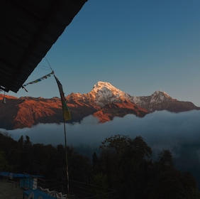 Ghorepani Senderismo Poon Hill