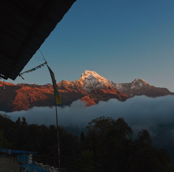 Ghorepani: Poon Hill Trekking