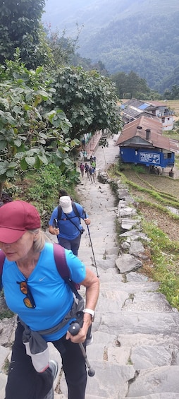 Picture 7 for Activity Ghorepani: Poon Hill Trekking