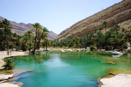 Private Tour zu Wahiba Sands und Wadi Bani Khalid