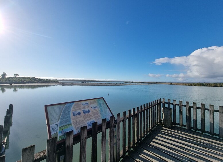 Picture 4 for Activity Greymouth: Glacier, Heritage & Wildlife Centre Guided Tour