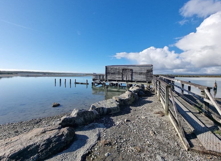 Picture 5 for Activity Greymouth: Glacier, Heritage & Wildlife Centre Guided Tour