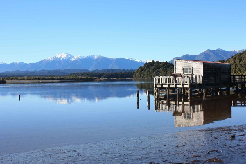 Picture 3 for Activity Greymouth: Glacier, Heritage & Wildlife Centre Guided Tour