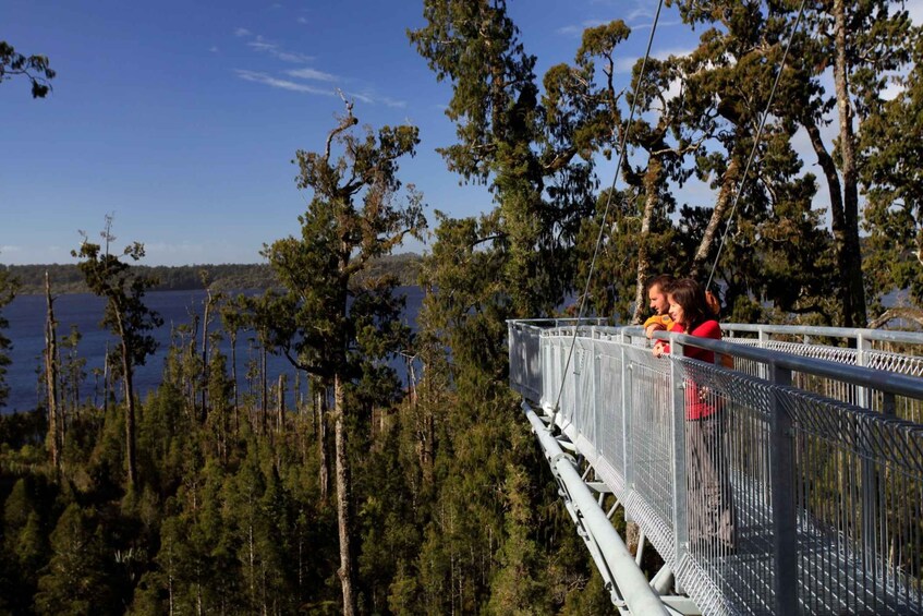 Picture 7 for Activity Greymouth: Glacier, Heritage & Wildlife Centre Guided Tour