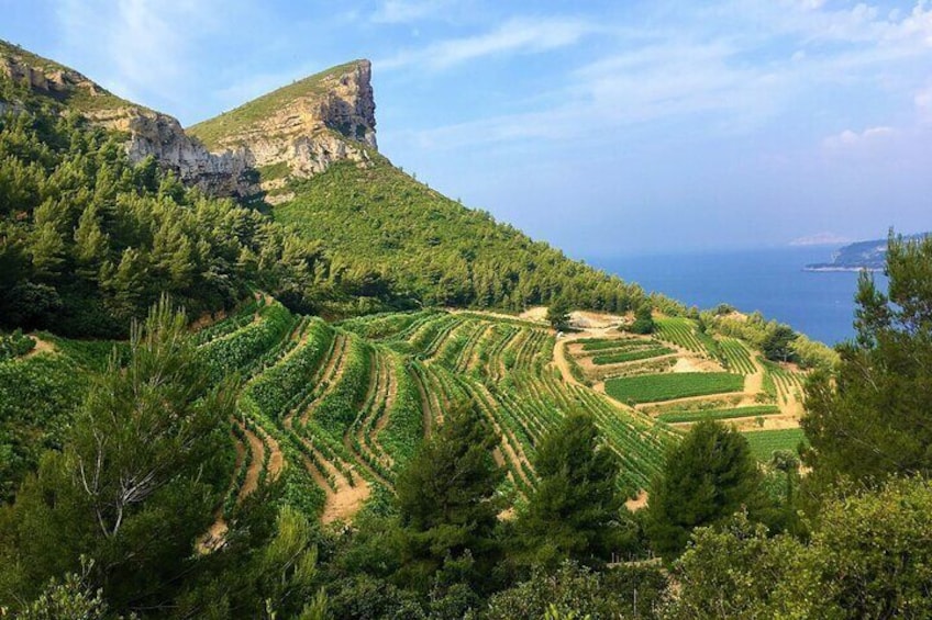 Calanques Of Cassis, the Village and Wine Tasting