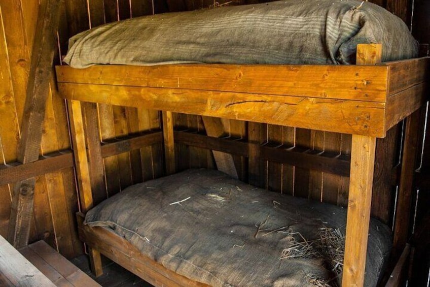 Bunk Bed