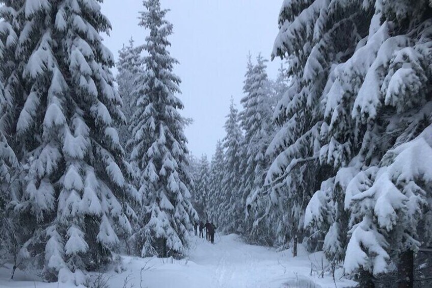 The Ultimate Norwegian Skiing Experience