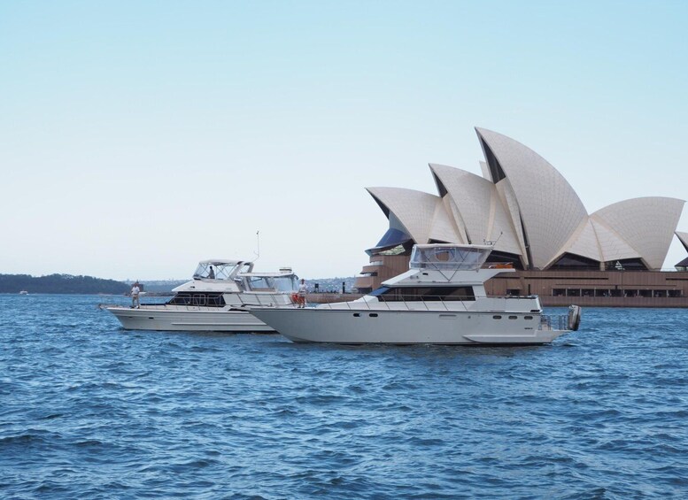 Picture 1 for Activity Sydney: Harbour Cruise with Gourmet BBQ Lunch, Beer and Wine
