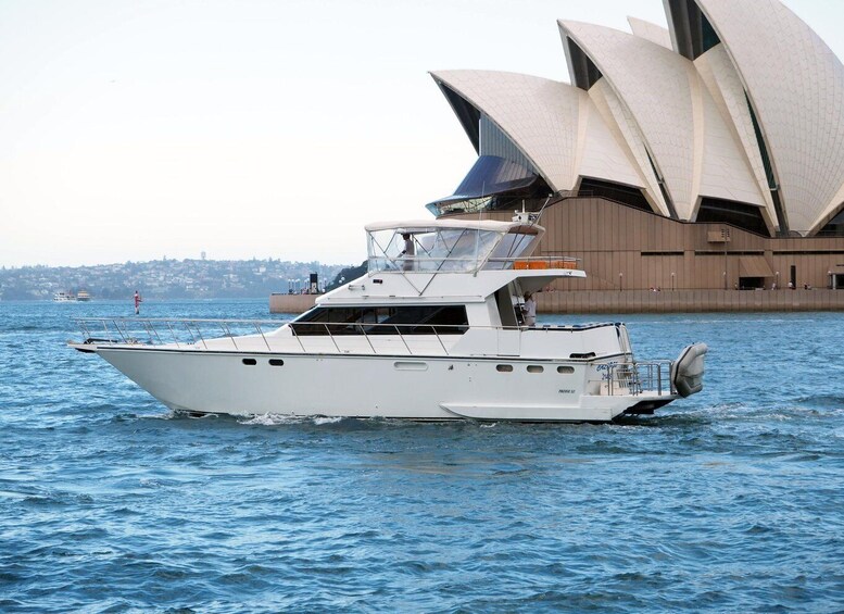 Sydney: Harbour Cruise with Gourmet BBQ Lunch, Beer and Wine