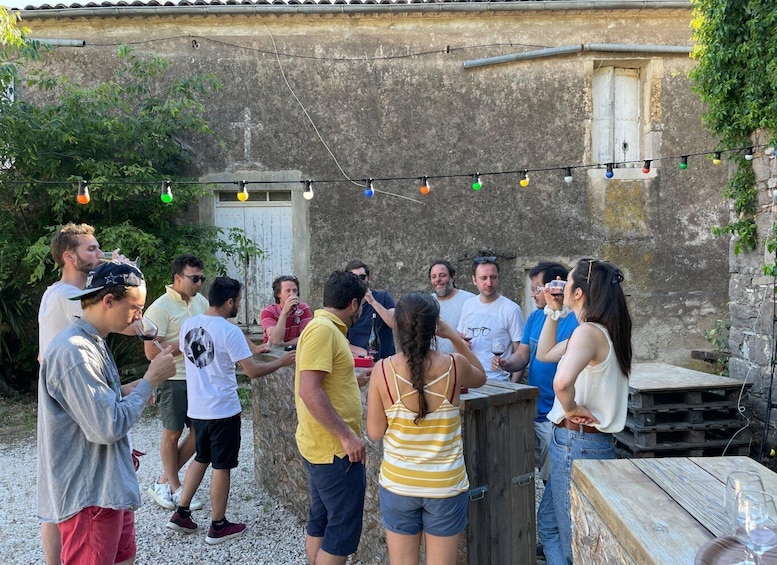 Picture 6 for Activity From Montpellier: Pic Saint-Loup Wine and Food Tour