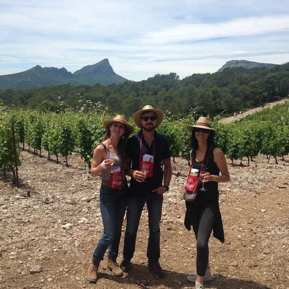 Picture 1 for Activity From Montpellier: Wine & Food Trip to Pic Saint-Loup