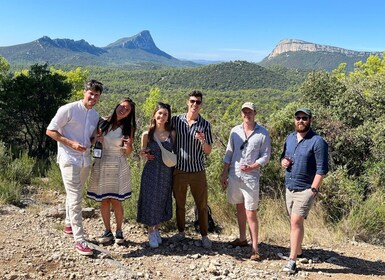 Dari Montpellier: Tur Anggur dan Makanan Pic Saint-Loup