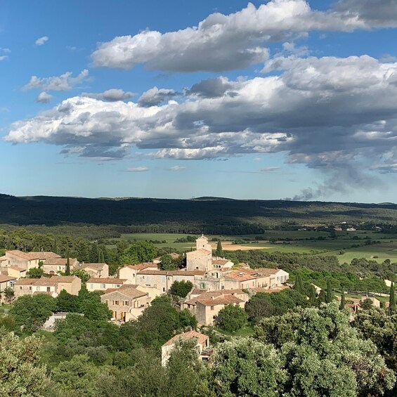 Picture 3 for Activity From Montpellier: Pic Saint-Loup Wine and Food Tour